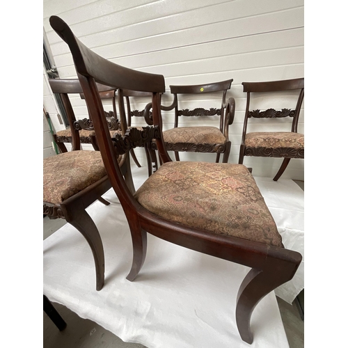 262 - 6 REGENCY MAHOGANY DINING CHAIRS - 5 DINERS 1 CARVER