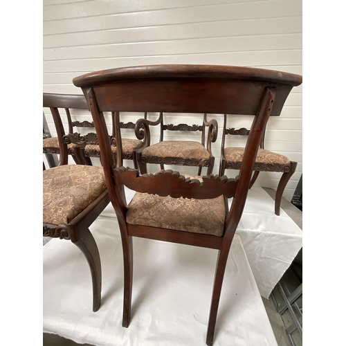 262 - 6 REGENCY MAHOGANY DINING CHAIRS - 5 DINERS 1 CARVER