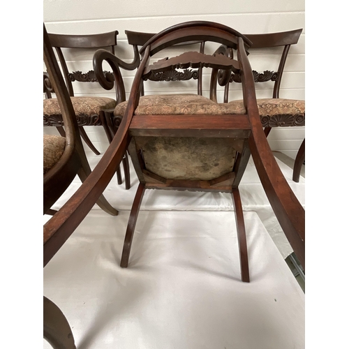 262 - 6 REGENCY MAHOGANY DINING CHAIRS - 5 DINERS 1 CARVER