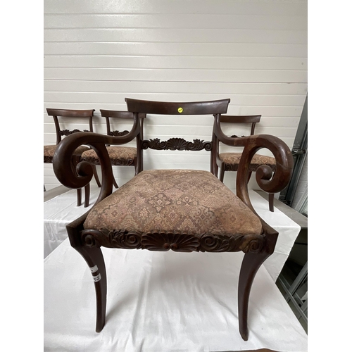 262 - 6 REGENCY MAHOGANY DINING CHAIRS - 5 DINERS 1 CARVER