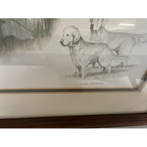 28 - PAIR OF NIGEL HEMMING FRAMED DOG PICTURES 18