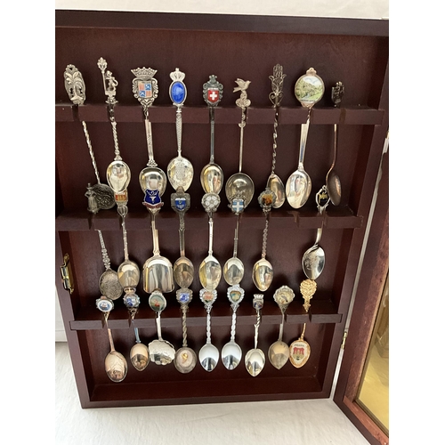 161 - COLLECTION OF SPOONS IN WALL CABINET AND MAGAZINE RACK