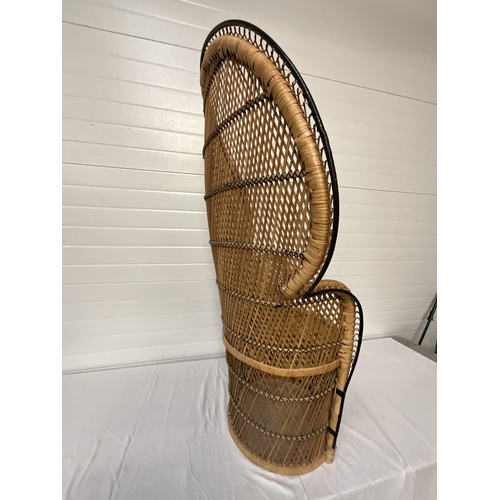 256 - VINTAGE WICKER PEACOCK CHAIR H53