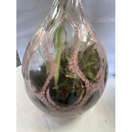 51 - GLASS TERRARIUM H16