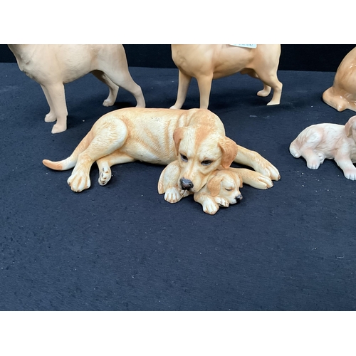 62 - 6 CHINA LABRADOR FIGURES INCLUDING BESWICK EXAMPLES