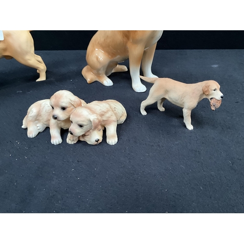 62 - 6 CHINA LABRADOR FIGURES INCLUDING BESWICK EXAMPLES