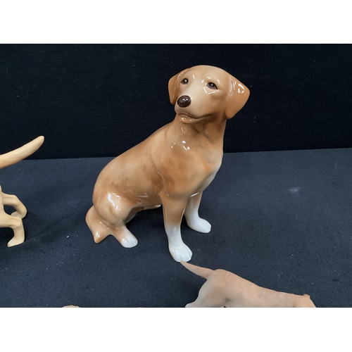 62 - 6 CHINA LABRADOR FIGURES INCLUDING BESWICK EXAMPLES