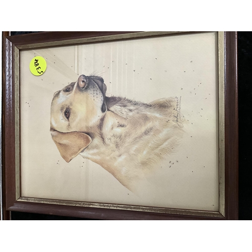 64 - 4 FRAMED PRINTS OF DOGS - LARGEST 22