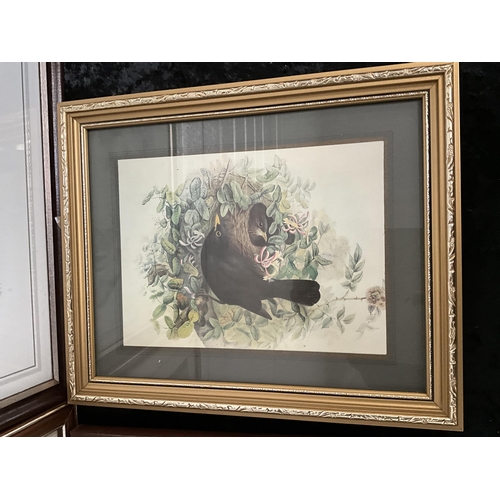 64 - 4 FRAMED PRINTS OF DOGS - LARGEST 22