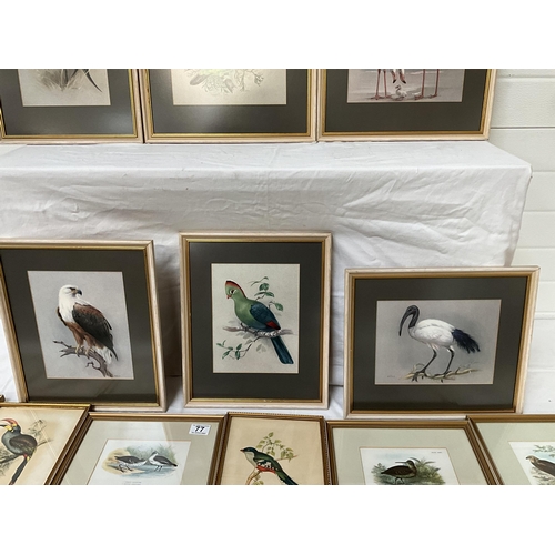 77 - COLLECTION OF FRAMED BIRD THEMED PICTURES (13) largest 15