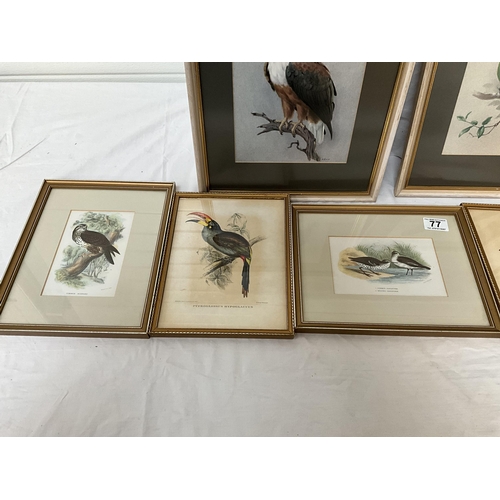 77 - COLLECTION OF FRAMED BIRD THEMED PICTURES (13) largest 15