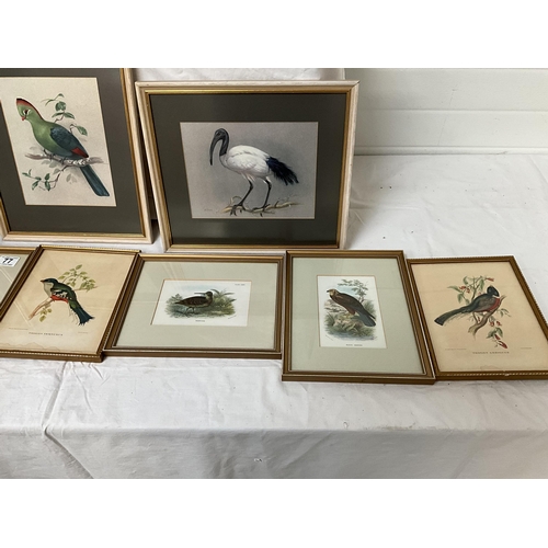 77 - COLLECTION OF FRAMED BIRD THEMED PICTURES (13) largest 15