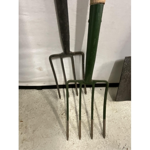 126 - NEW FORK AND SPADE