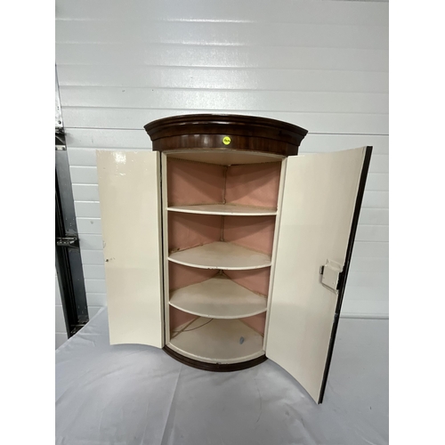 312 - GEORGIAN MAHOGANY BOW FRONT WALL HANGING CORNER CABINET WITH SHELVED INTERIOR H41