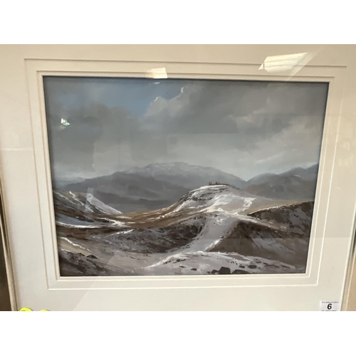 6 - PETER SHUTT FRAMED PASTEL OF LOUGHRIGG FELL LOOKING TOWARDS WETHERLAM IN FEBRUARY AND A FRAMED FLORA... 