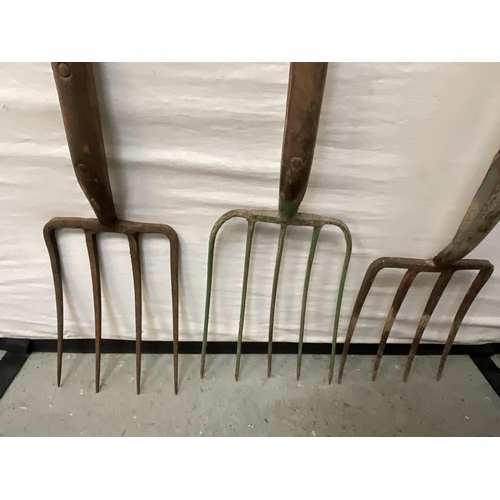 32 - 3 VINTAGE GARDEN FORKS