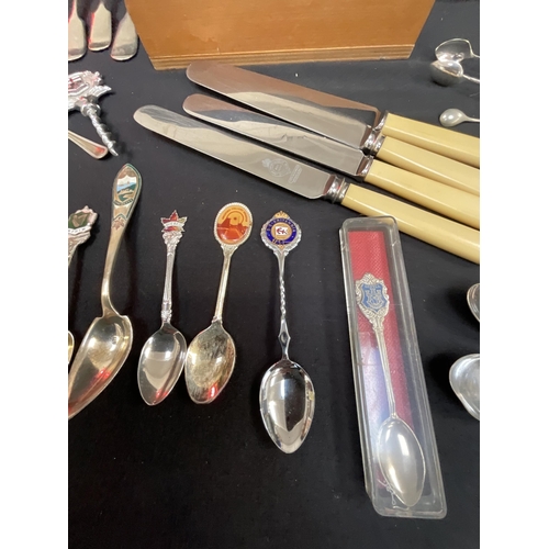 36 - BOX OF CUTLERY TO INCLUDE COLLECTORS SPOONS