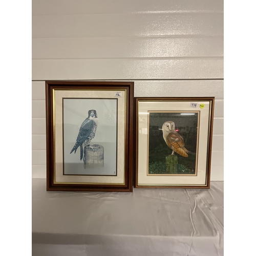 116 - BIRD OF PREY PRINT AND FRAMED OWL PAINTING SIGNED TOM BANKS 19