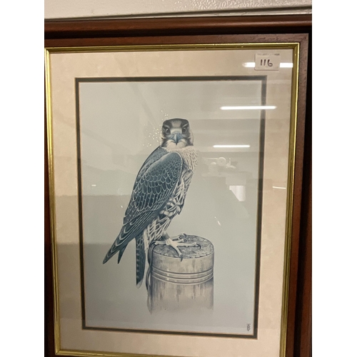 116 - BIRD OF PREY PRINT AND FRAMED OWL PAINTING SIGNED TOM BANKS 19