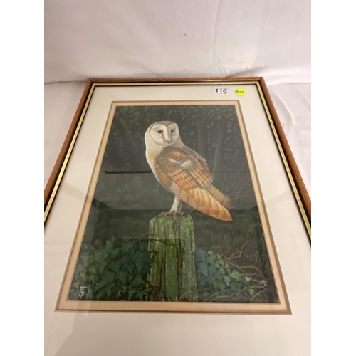 116 - BIRD OF PREY PRINT AND FRAMED OWL PAINTING SIGNED TOM BANKS 19