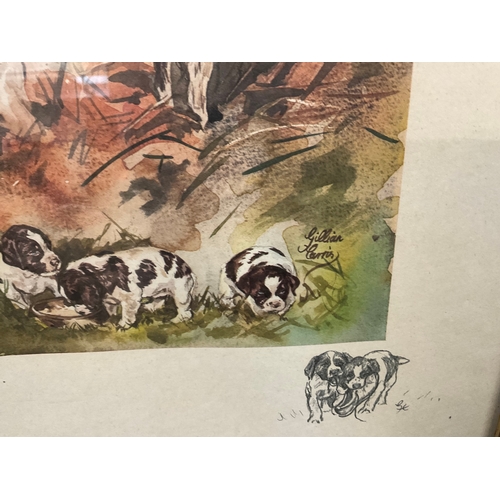 33 - GILT FRAMED LIMITED EDITION SIGNED PRINT 346/850 OF SPANIELS 19” x 23”