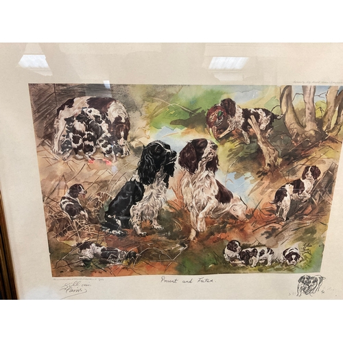 33 - GILT FRAMED LIMITED EDITION SIGNED PRINT 346/850 OF SPANIELS 19” x 23”