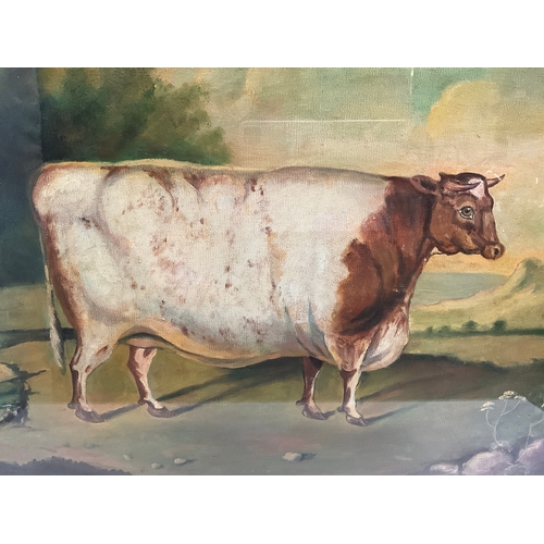 115 - REPRODUCTION OIL PAINTING OF A COW IN A OAK GLAZED FRAME SIZE 25x29