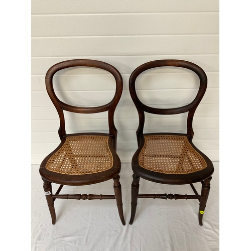 190 - PAIR OF VICTORIAN MAHOGANY CHAIRS WITH BERGERE STYLE SEATS