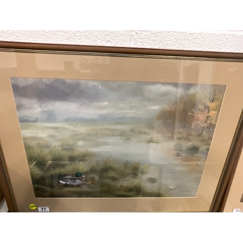 77 - TWO WATERCOLOURS DEPICTING DUCKS ON MARSH LAND SIGNED LARGEST 31”X24” BY PHILIP RICKMAN