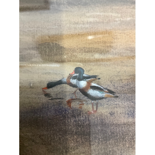 77 - TWO WATERCOLOURS DEPICTING DUCKS ON MARSH LAND SIGNED LARGEST 31”X24” BY PHILIP RICKMAN