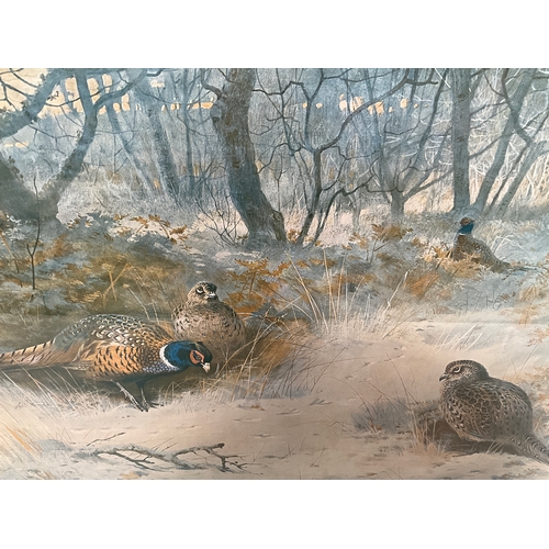 14 - ARCHIBOLD THORBURN 1907 FRAMED PRINT PHEASANT IN WINTER 29” x 24”