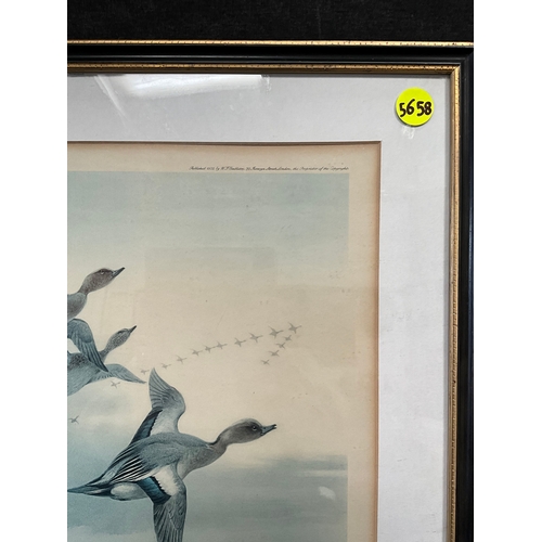 38 - FRAMED ARCHIBOLD THORBURN SIGNED PRINT OF DUCKS 23” x 18”