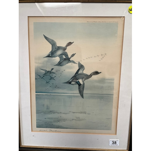 38 - FRAMED ARCHIBOLD THORBURN SIGNED PRINT OF DUCKS 23” x 18”