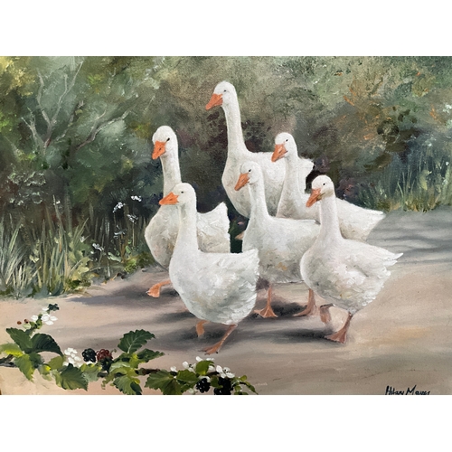 55 - FRAMED OILS ON CANVAS BY HILARY MAYES (GEESE) 22” x 18”