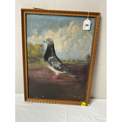 8 - VINTAGE FRAMED OILS ON BOARD OF RACING PIGEON SIGNED P E NICHOLS 
14” x 19”