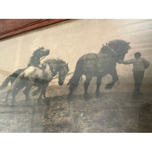 71 - EDWARDIAN OAK FRAMED PICTURE (PLOUGHING)
27” x 15”