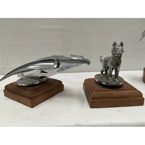 175 - THREE VINTAGE CHROME CAR MASCOTS MOUNTED ON MAHOGANY PLINTHS