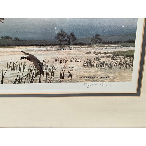 231 - FRAMED PRINT (DUCKS IN FLIGHT) ELIZABETH GRAY PENCIL SIGNATURE TO MARGIN 29” x 23”