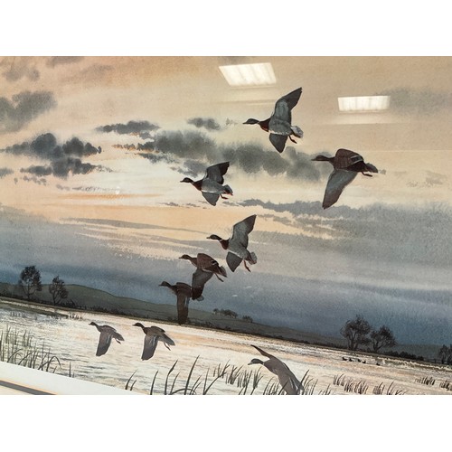 231 - FRAMED PRINT (DUCKS IN FLIGHT) ELIZABETH GRAY PENCIL SIGNATURE TO MARGIN 29” x 23”