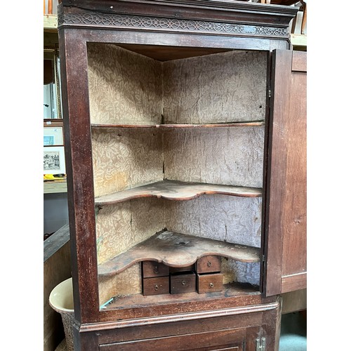 331 - GEORGIAN OAK DOUBLE CORNER CUPBOARD WITH FITTED SHAPED SHELVES AND6 SPICE DRAWERS TO INTERIOR H80” W... 