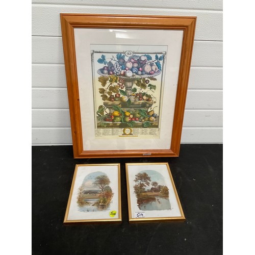 519 - MODERN FRAMED FRUIT PICTURE 23” x 19” PAIR OF OILS ON PORCELAIN 10” x 7”