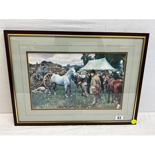 Lot 43        