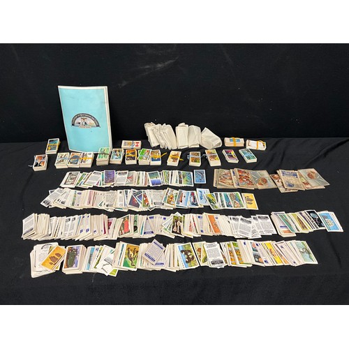 Lot 51        