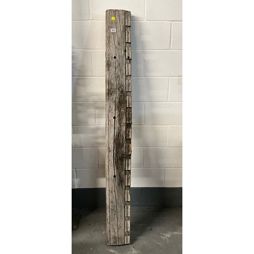 Lot 302       