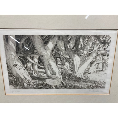 58 - VINTAGE FRAMED PICTURE PENCIL SIGNED TO MARGIN CHAS CHAPLIN ENTITLED EDGE OF FOREST EXHIBITED AT ROY... 