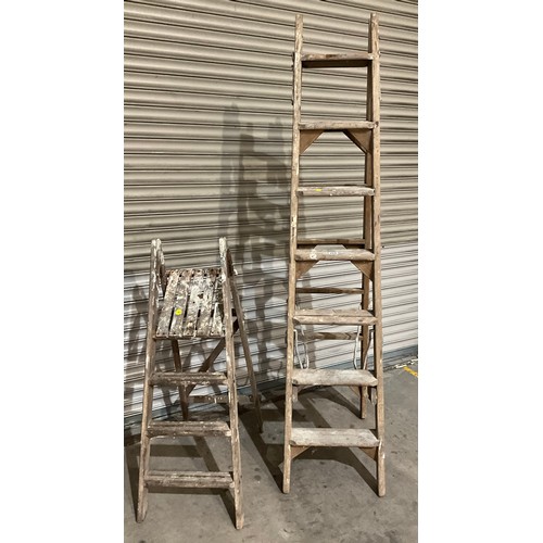 Lot 260       