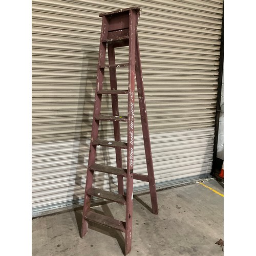 Lot 262       