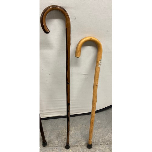 62 - QUANTITY OF WALKING STICKS AND UMBRELLAS