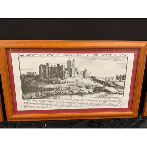 8 - SIX FRAMED PRINTS OF VARIOUS CASTLES TO INCLUDE HOPTON AND LUDLOW