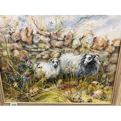 152 - OILS ON BOARD OF A LAMB AND SHEEP SIGNED LOWER LEFT ORRIDGE 27